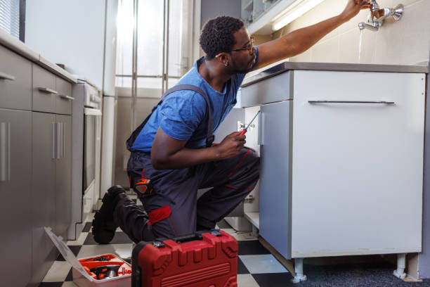 Best Plumbing Inspection Services  in Meridian, MS